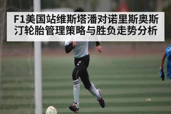 F1美国站维斯塔潘对诺里斯奥斯汀轮胎管理策略与胜负走势分析
